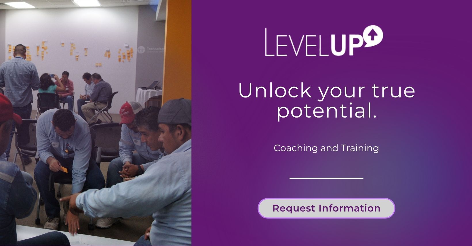 Coaching and Training - Level Up